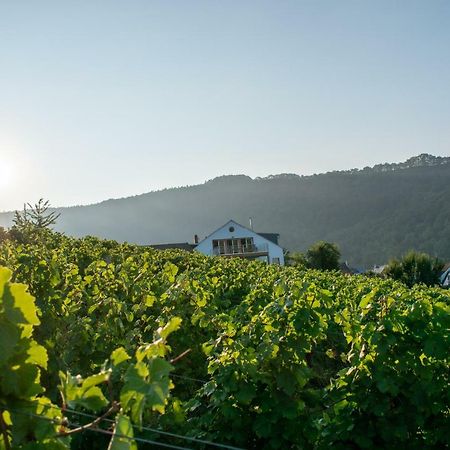 Weingut Johanneshof Minheim Extérieur photo