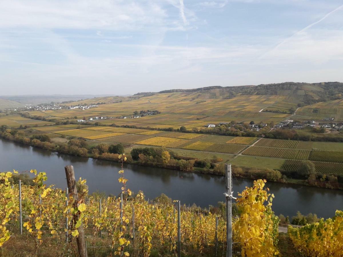 Weingut Johanneshof Minheim Extérieur photo