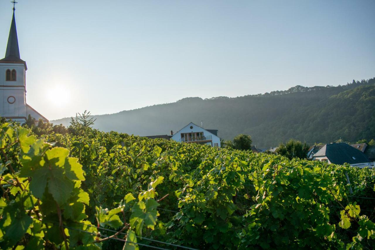 Weingut Johanneshof Minheim Extérieur photo