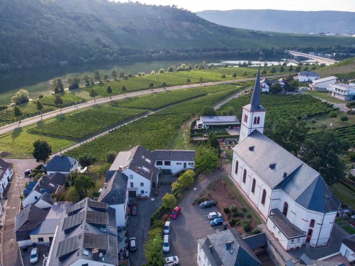 Weingut Johanneshof Minheim Extérieur photo