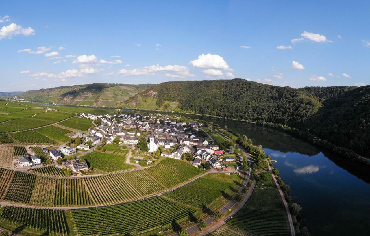 Weingut Johanneshof Minheim Extérieur photo