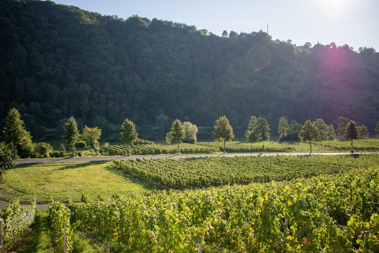 Weingut Johanneshof Minheim Extérieur photo